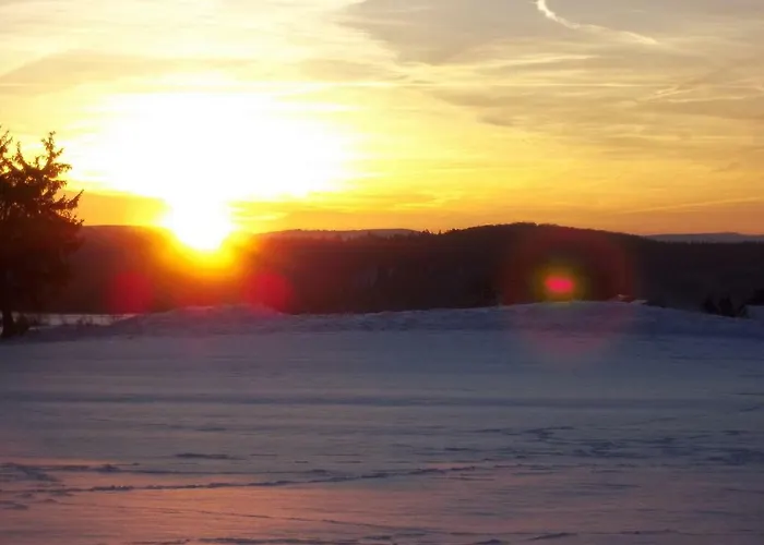 Zum Sauerländer Orketal Apartment Medebach